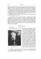 giornale/RML0015994/1917/unico/00000504