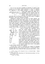 giornale/RML0015994/1917/unico/00000558