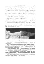 giornale/RML0015994/1917/unico/00000595