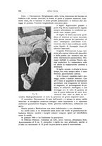 giornale/RML0015994/1917/unico/00000598