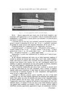 giornale/RML0015994/1917/unico/00000631