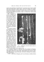 giornale/RML0015994/1918/unico/00000049