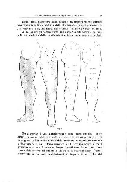 La chirurgia degli organi di movimento