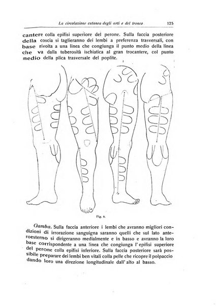 La chirurgia degli organi di movimento