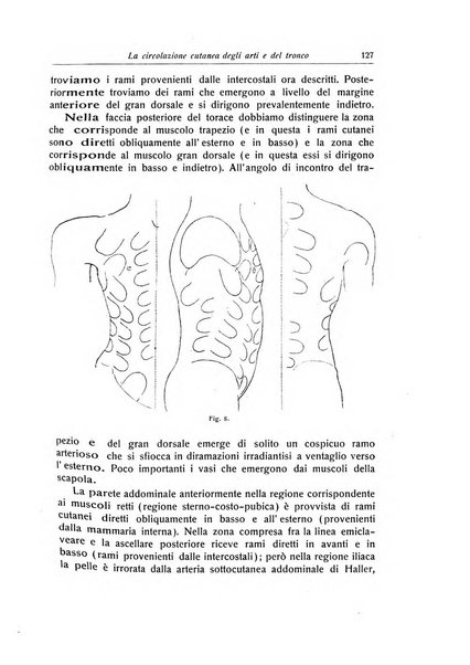 La chirurgia degli organi di movimento