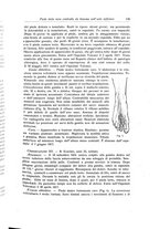 giornale/RML0015994/1918/unico/00000155