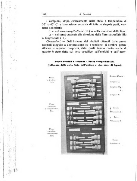 La chirurgia degli organi di movimento