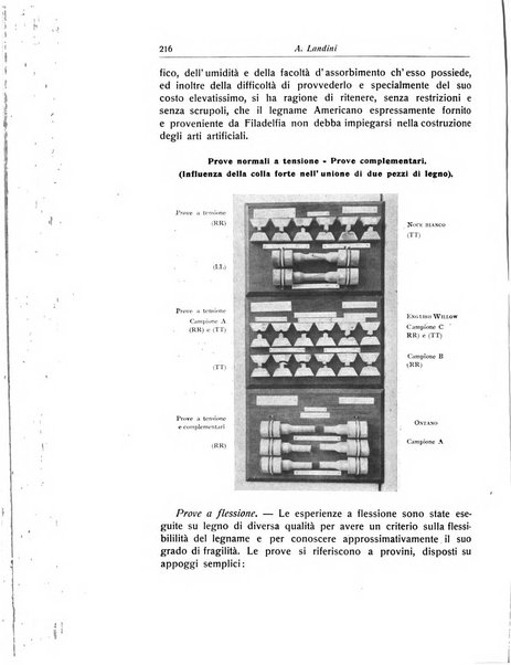 La chirurgia degli organi di movimento