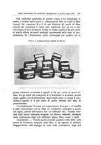 giornale/RML0015994/1918/unico/00000263