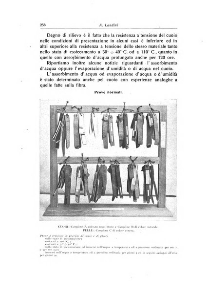 La chirurgia degli organi di movimento