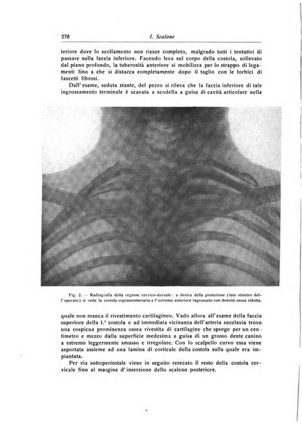 La chirurgia degli organi di movimento