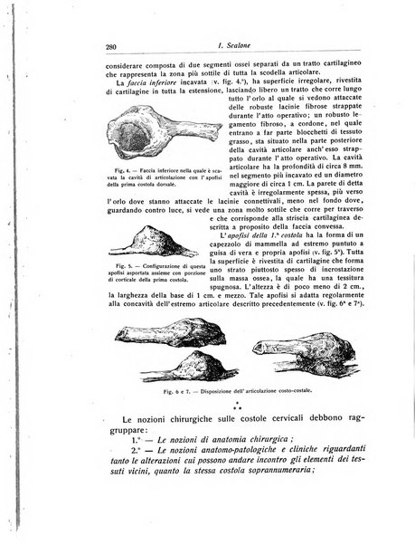 La chirurgia degli organi di movimento