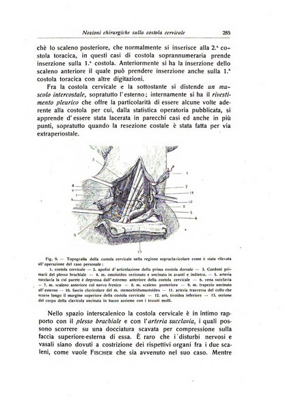 La chirurgia degli organi di movimento