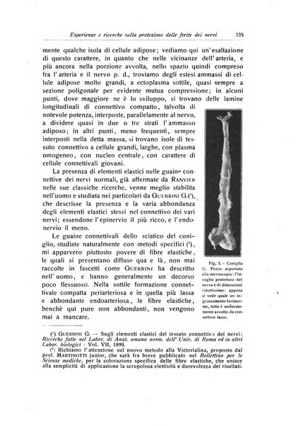 La chirurgia degli organi di movimento