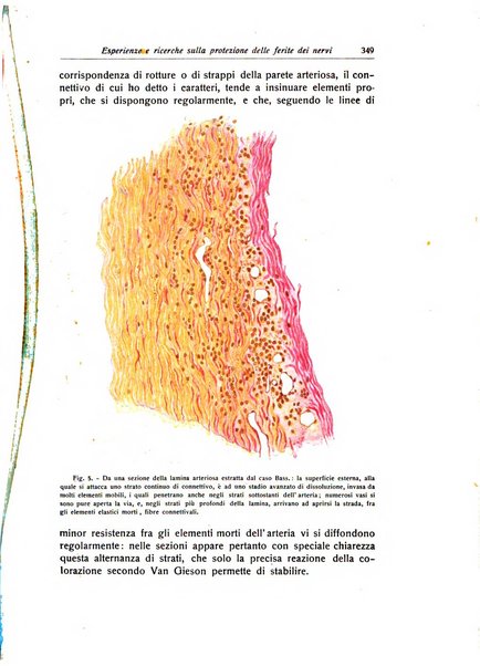 La chirurgia degli organi di movimento