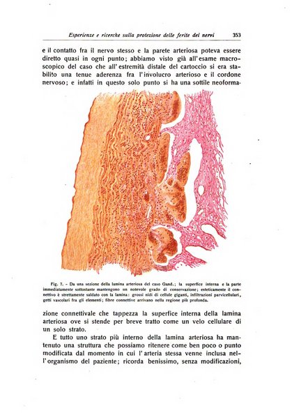 La chirurgia degli organi di movimento