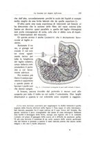 giornale/RML0015994/1918/unico/00000461