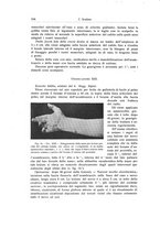giornale/RML0015994/1918/unico/00000542