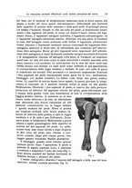 giornale/RML0015994/1919/unico/00000031