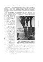 giornale/RML0015994/1919/unico/00000137