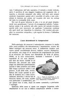 giornale/RML0015994/1919/unico/00000221