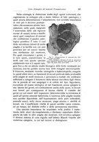 giornale/RML0015994/1919/unico/00000223