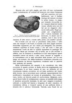 giornale/RML0015994/1919/unico/00000224