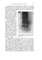 giornale/RML0015994/1919/unico/00000227