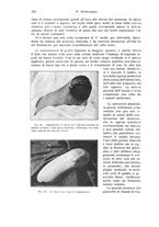 giornale/RML0015994/1919/unico/00000260