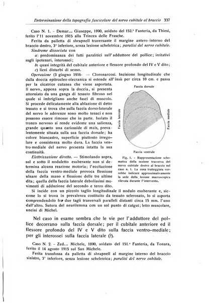 La chirurgia degli organi di movimento