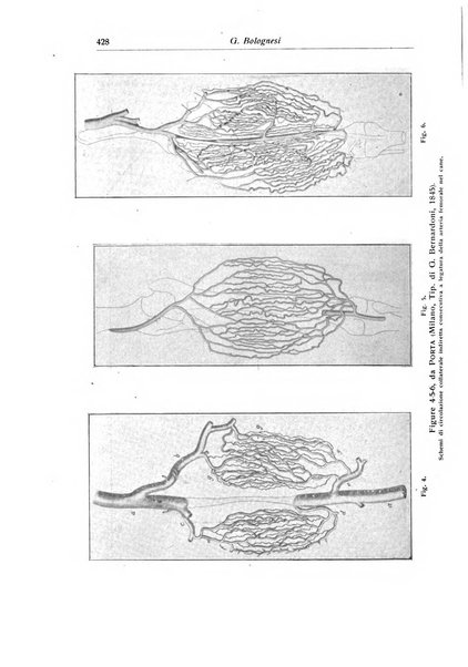 La chirurgia degli organi di movimento