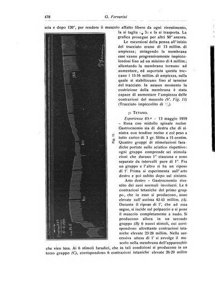 La chirurgia degli organi di movimento