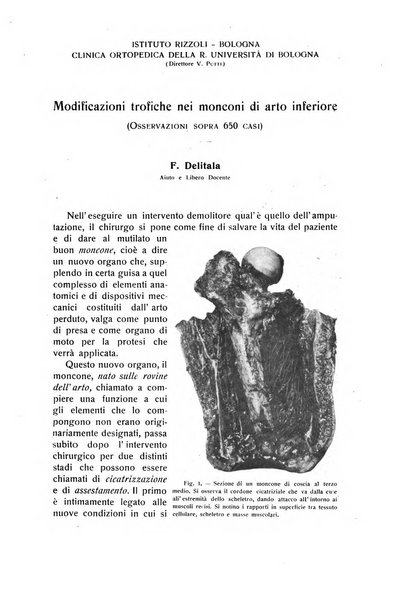 La chirurgia degli organi di movimento