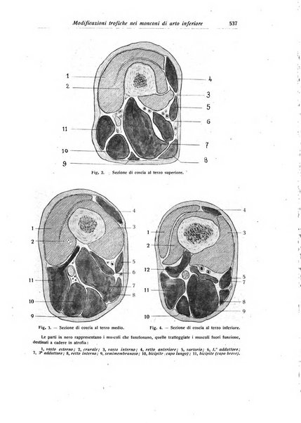 La chirurgia degli organi di movimento