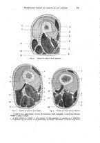 giornale/RML0015994/1919/unico/00000573