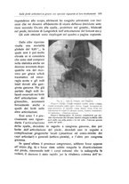 giornale/RML0015994/1919/unico/00000617