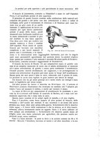 giornale/RML0015994/1919/unico/00000645