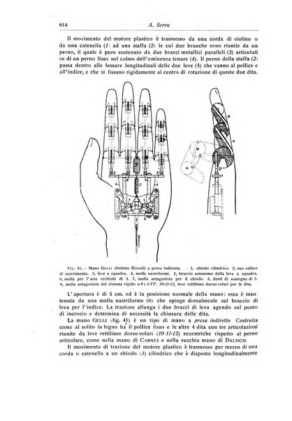 La chirurgia degli organi di movimento