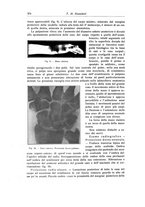 giornale/RML0015994/1920/unico/00000398