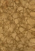 giornale/RML0015994/1921/unico/00000003