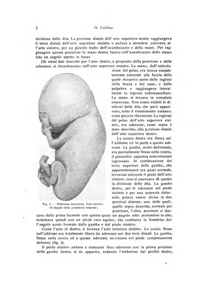 La chirurgia degli organi di movimento