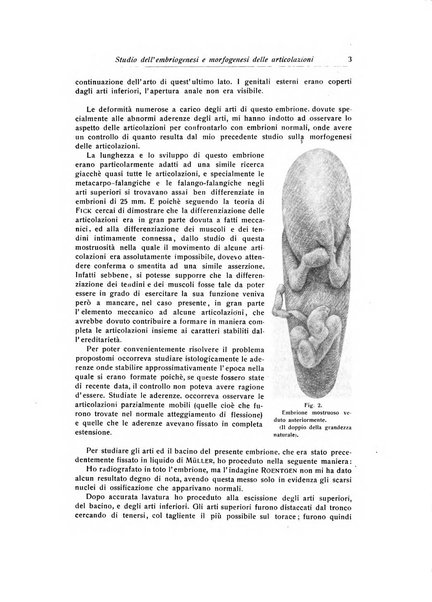 La chirurgia degli organi di movimento