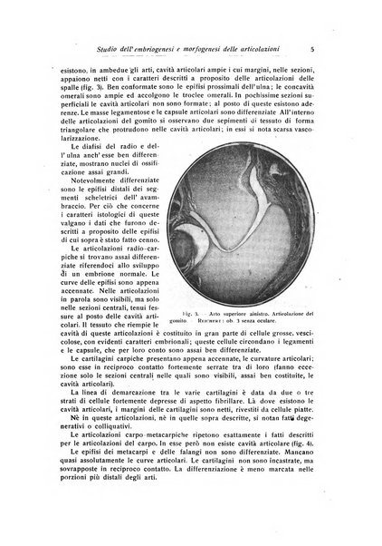 La chirurgia degli organi di movimento