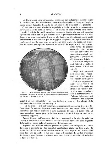 La chirurgia degli organi di movimento