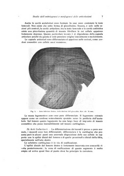 La chirurgia degli organi di movimento