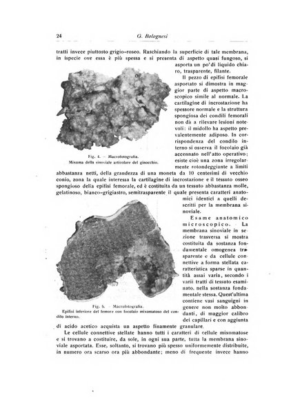 La chirurgia degli organi di movimento