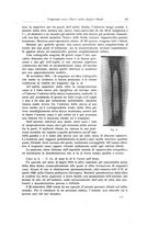 giornale/RML0015994/1922/unico/00000075