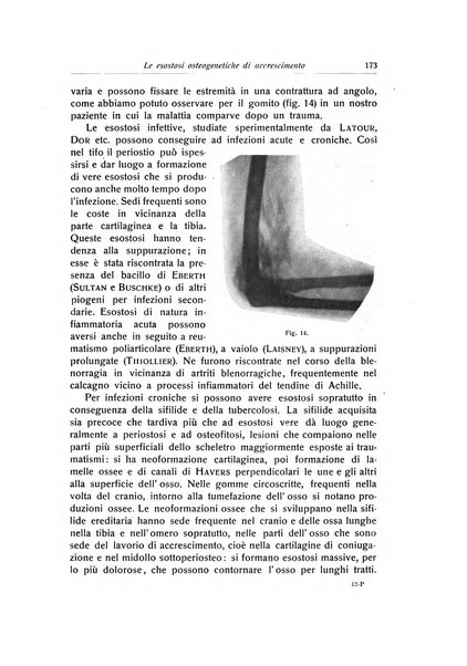 La chirurgia degli organi di movimento