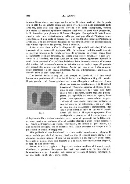 La chirurgia degli organi di movimento