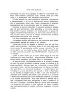 giornale/RML0015994/1922/unico/00000251